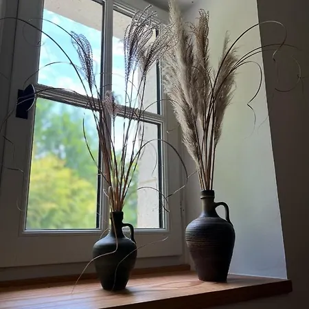 Alojamento de Acomodação e Pequeno-almoço Le Logis De Lasteyrie