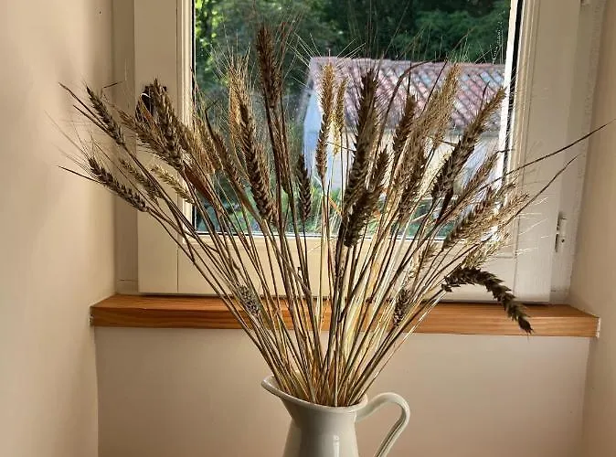 Bed & Breakfast Le Logis De Lasteyrie